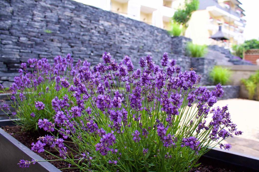 Moselromantik Hotel Kessler Meyer Cochem Luaran gambar
